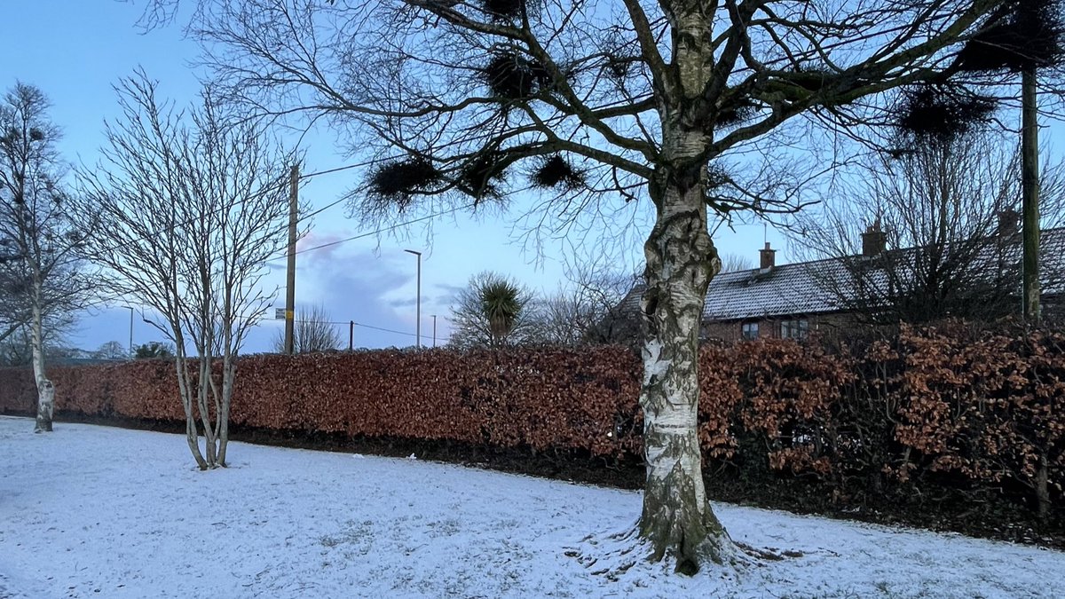 ThinkDkIT's tweet image. Thank you to @Stpatricksbanb for allowing @DkIT_ie to speak to Y13 &amp;amp; 14 students this morning about applying to CAO &amp;amp; the different courses on offer in #DkIT 

Due to snow a few students missed the talk - make sure to come to our open morning this Saturday DkIT.ie/openday