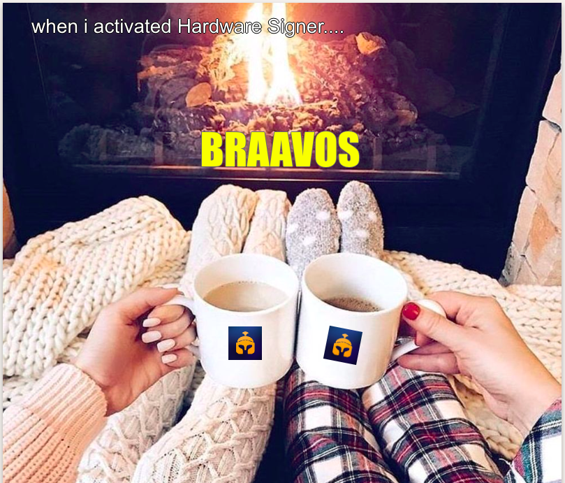 Haoss_ut's tweet image. The Hardware Signer feature offers both state-of-the-art security level for crypto users, and the experience users are used to from web2 solutions. #uncompromisedsecurity #braavoswallet