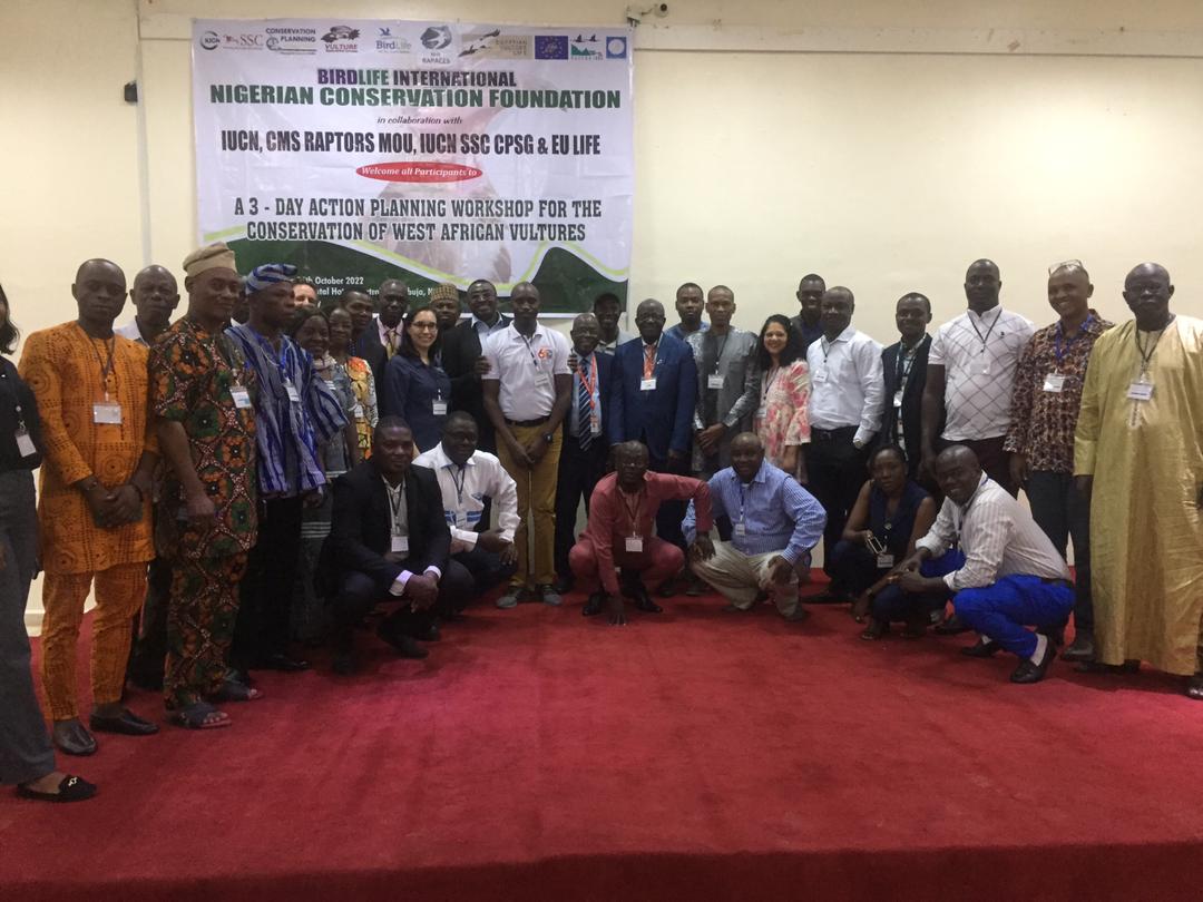 Neophron Returns tweet media