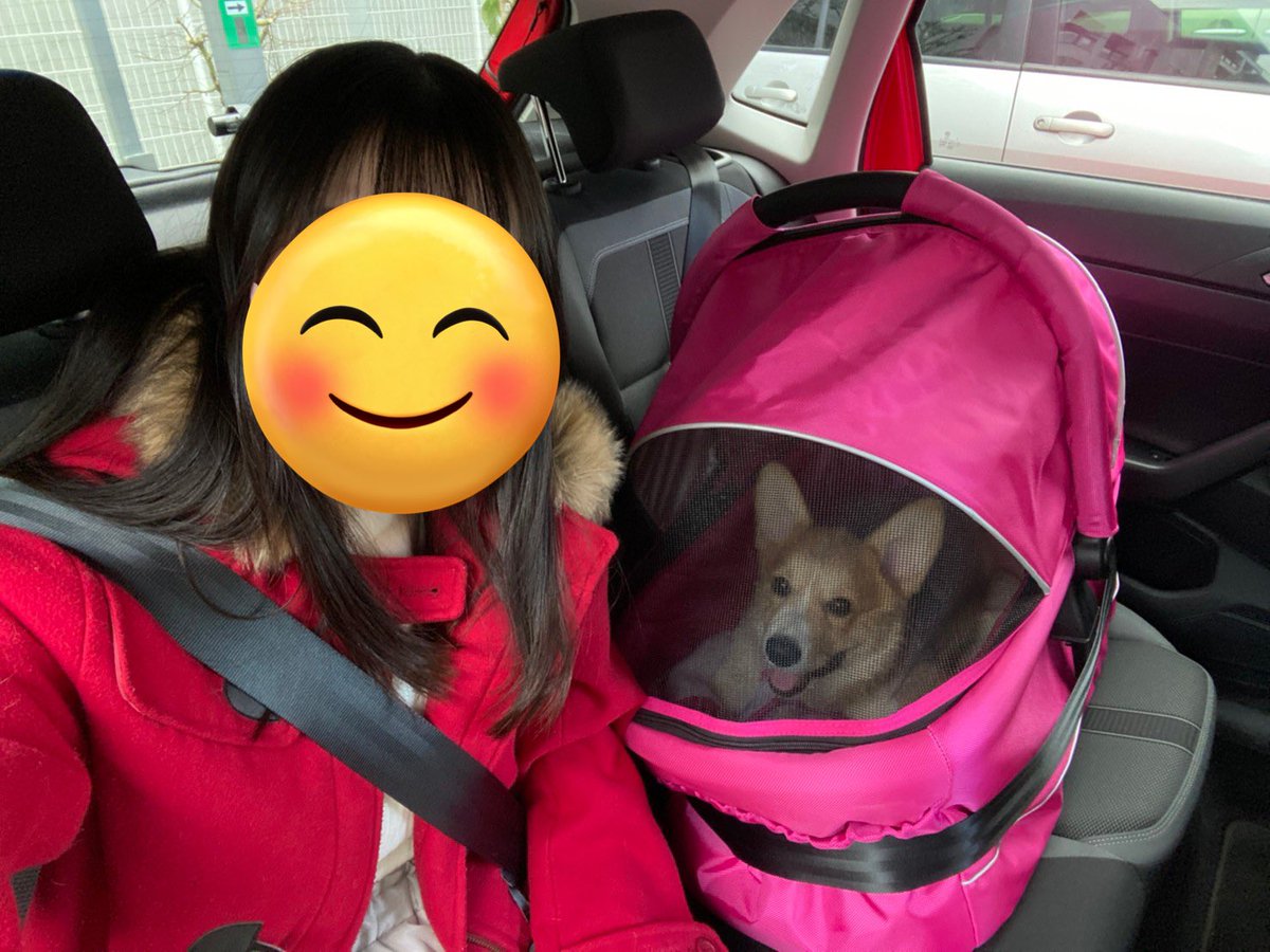みき👩福🐶翼🐶航🐶 tweet media