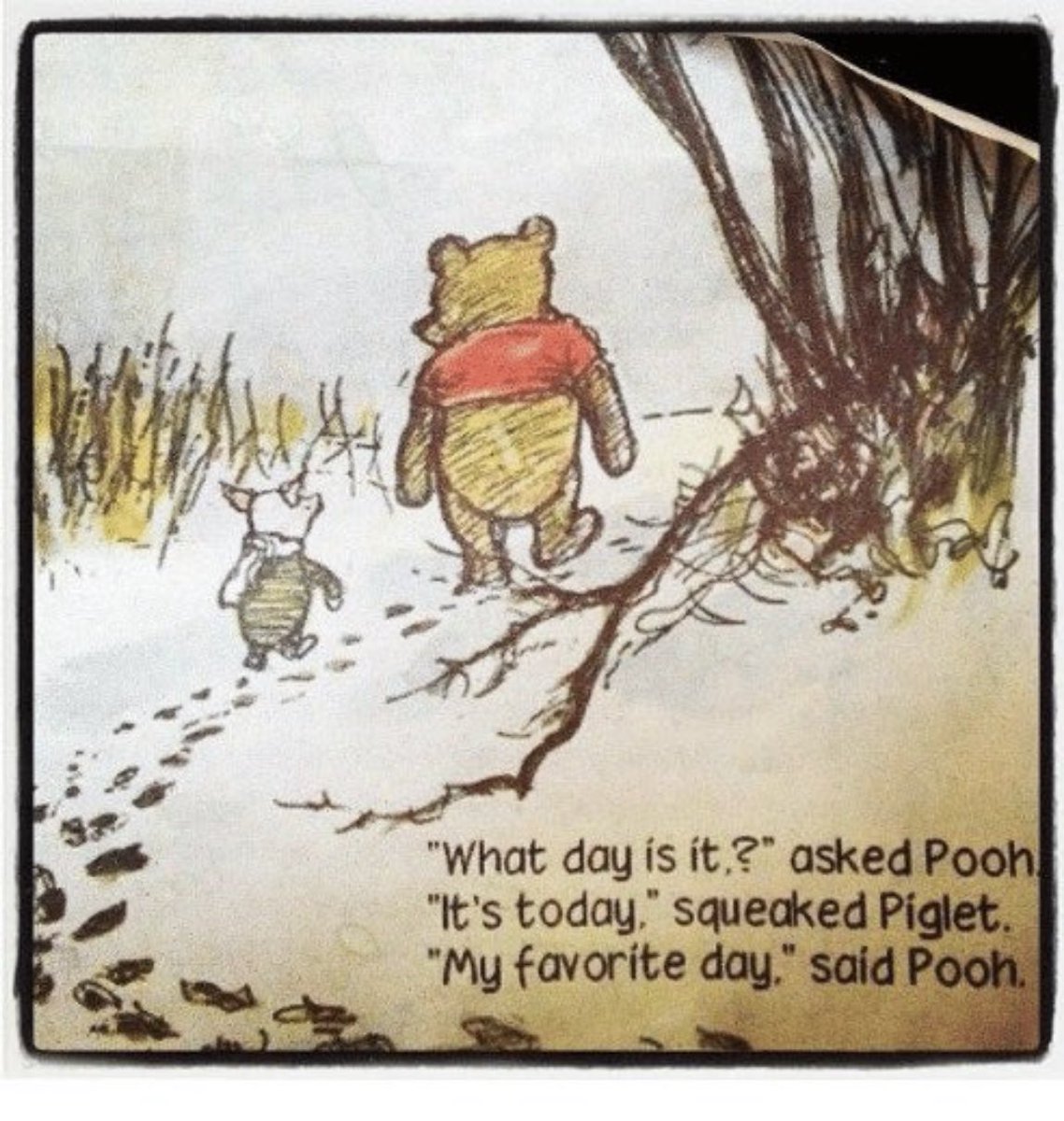 HAPPY #WinnieThePoohDay #Pooh #HappyBirthdayWinnieThePooh ❤️🐶🎉 #dogsoftwitter #AAMilne