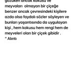 Photo by yeliz yılmaz9 (@yelloww919)