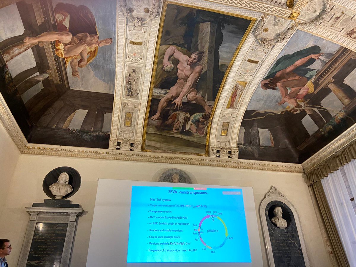 Víctor de Lorenzo (@vdlorenzo_cnb) on Twitter photo Overwhelmed by the history-filled room where I presented the <a href="/SEVAplasmids/">SEVAplasmids</a> to the partnership of the NYMPHE Project. Looks like the mythological giants painted in ceiling of our meeting room of Palazzo Poggi in Bologna are looking at our vectors (pic courtesy of Abraham Esteve)! Overwhelmed by the history-filled room where I presented the <a href="/SEVAplasmids/">SEVAplasmids</a> to the partnership of the NYMPHE Project. Looks like the mythological giants painted in ceiling of our meeting room of Palazzo Poggi in Bologna are looking at our vectors (pic courtesy of Abraham Esteve)!