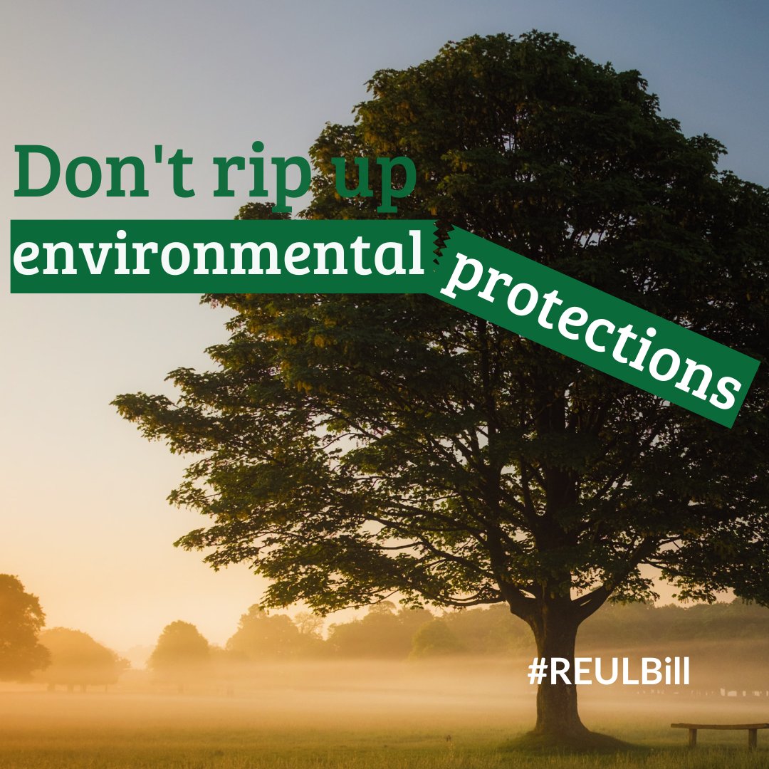 ⚠️The #RetainedEULaw Bill has protections for cherished nature sites in its firing line.

🌳Allowing sites such as #woodlands to be damaged or destroyed could cost the UK billions in lost health benefits.

Government must scrap the #REULBill now! bit.ly/3XnOlg6