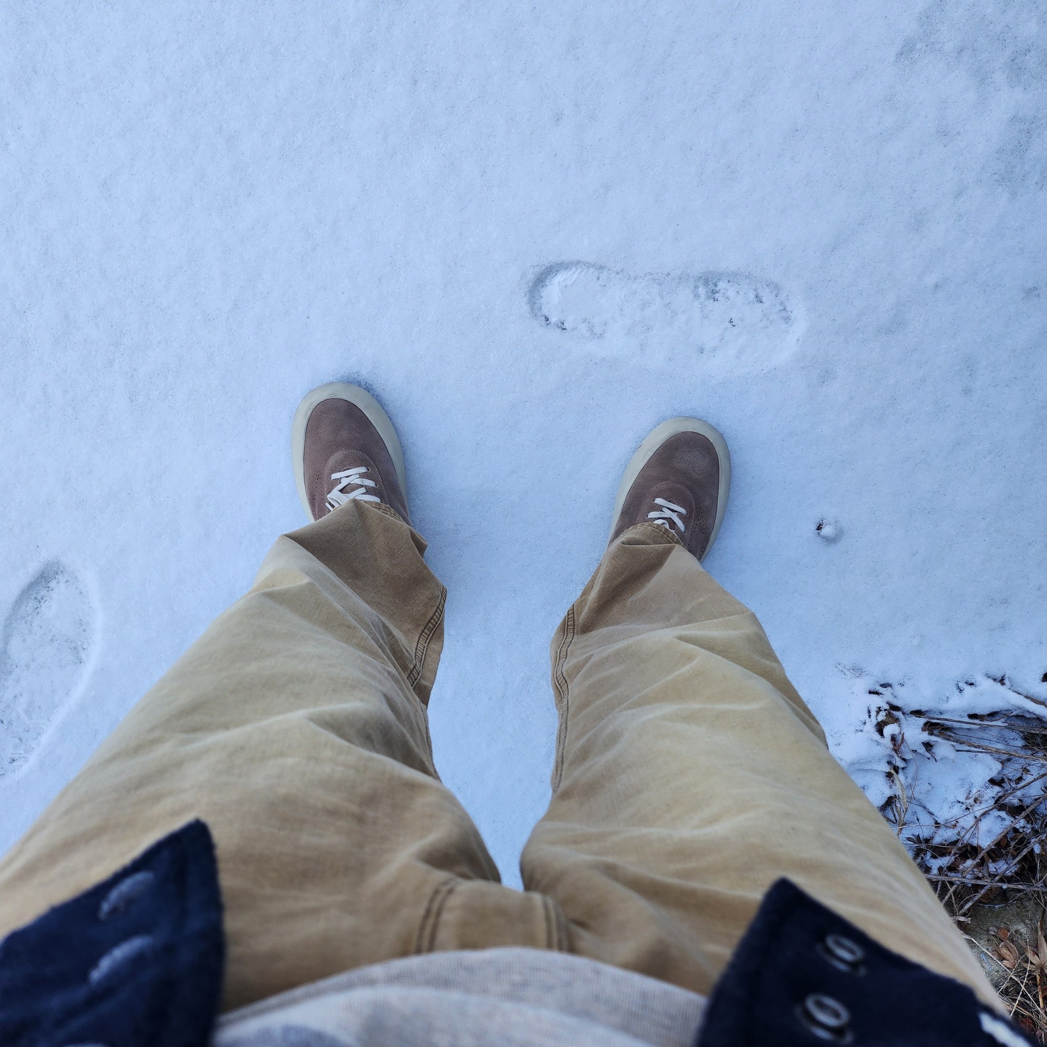 Fmv2NcqaYAA08Nc?format=jpg&name=large