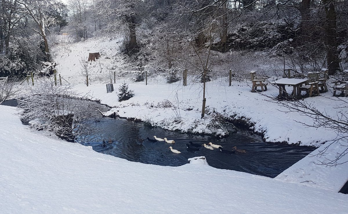 darrenjaundrill's tweet photo. Leaving aside challenges it can bring, #snow raises my mood. I rather like it....as does the dog. It must trigger the boyhood joy and desire to play. Important that we do that as adults! #weather #rurallife #ruralcommunities #civilservice #govpdc #majorprojects #leadership https://t.co/E8csuM9dGB