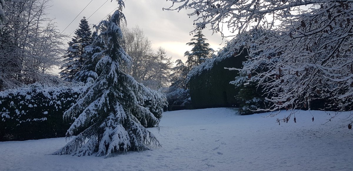 darrenjaundrill's tweet photo. Leaving aside challenges it can bring, #snow raises my mood. I rather like it....as does the dog. It must trigger the boyhood joy and desire to play. Important that we do that as adults! #weather #rurallife #ruralcommunities #civilservice #govpdc #majorprojects #leadership https://t.co/E8csuM9dGB