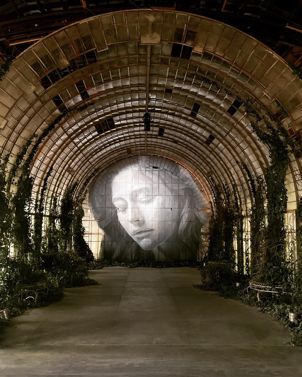 Simone Tilley tweet media