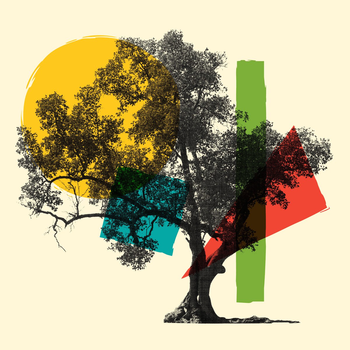 BuildStudios tweet media