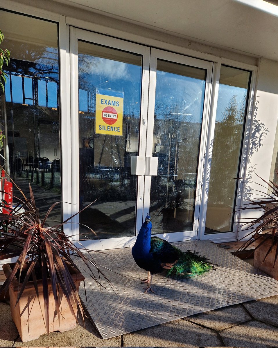 Late arrival for this morning's exam paper!