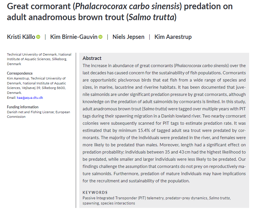 New #publication alert! In the presence of #cormorants, #freshwater may not be a safe place for returning adult #seatrout. In this study we documented that by minimum 15% of adults were predated by cormorants, with majority being eaten in the river doi.org/10.1111/eff.12…