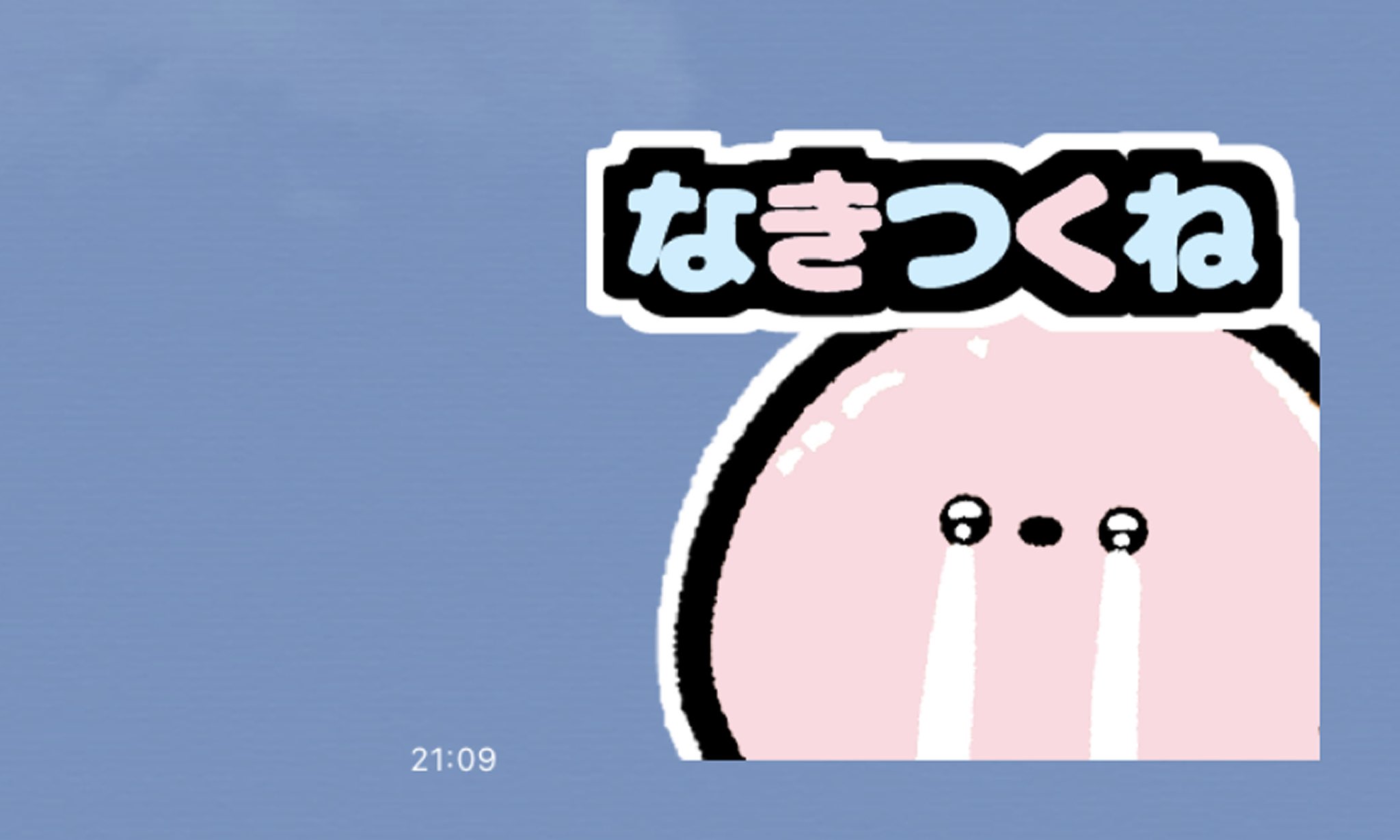 こんにちは！はちゃんです Ado Official Shop】