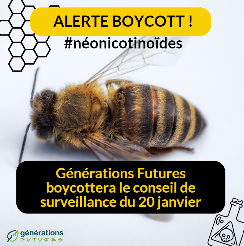 genefutures's tweet photo. 🚨BOYCOTT🚨 Le gouvernement veut une nouvelle dérogat° pour l’usage de semences de betterave  traitées aux #néonicotinoïdes bien que les données scientifiques fournies ne caractérisent pas un risque prévisible de jaunisse à venir.⤵️
@ILogvenoff @afpfr @CoralieSchaub @Fred_Mouchon https://t.co/aVoRr0yPFe