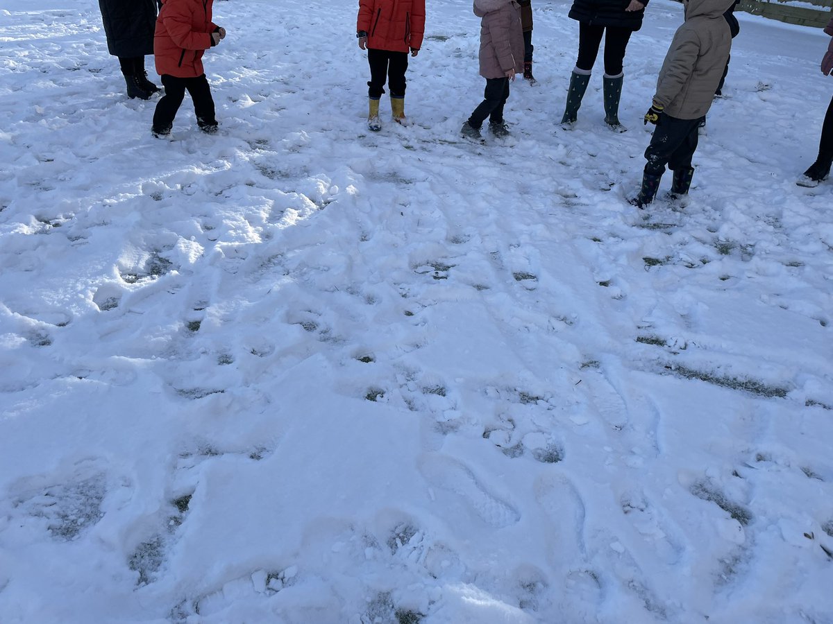 stmarysrc1's tweet image. A beautiful snowy day in Brynmawr.  Lots of first experiences of snow for children in our school. #authenticlearning