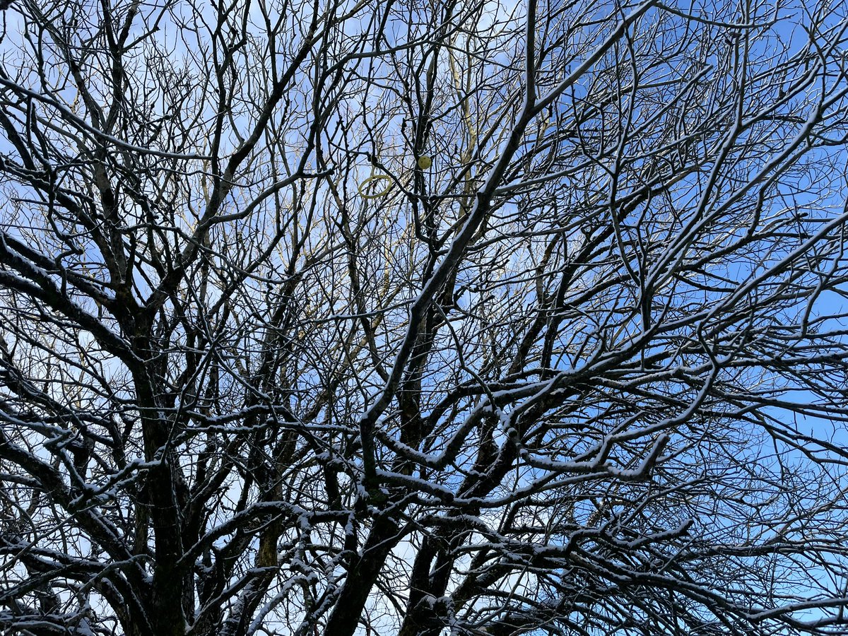 stmarysrc1's tweet image. A beautiful snowy day in Brynmawr.  Lots of first experiences of snow for children in our school. #authenticlearning