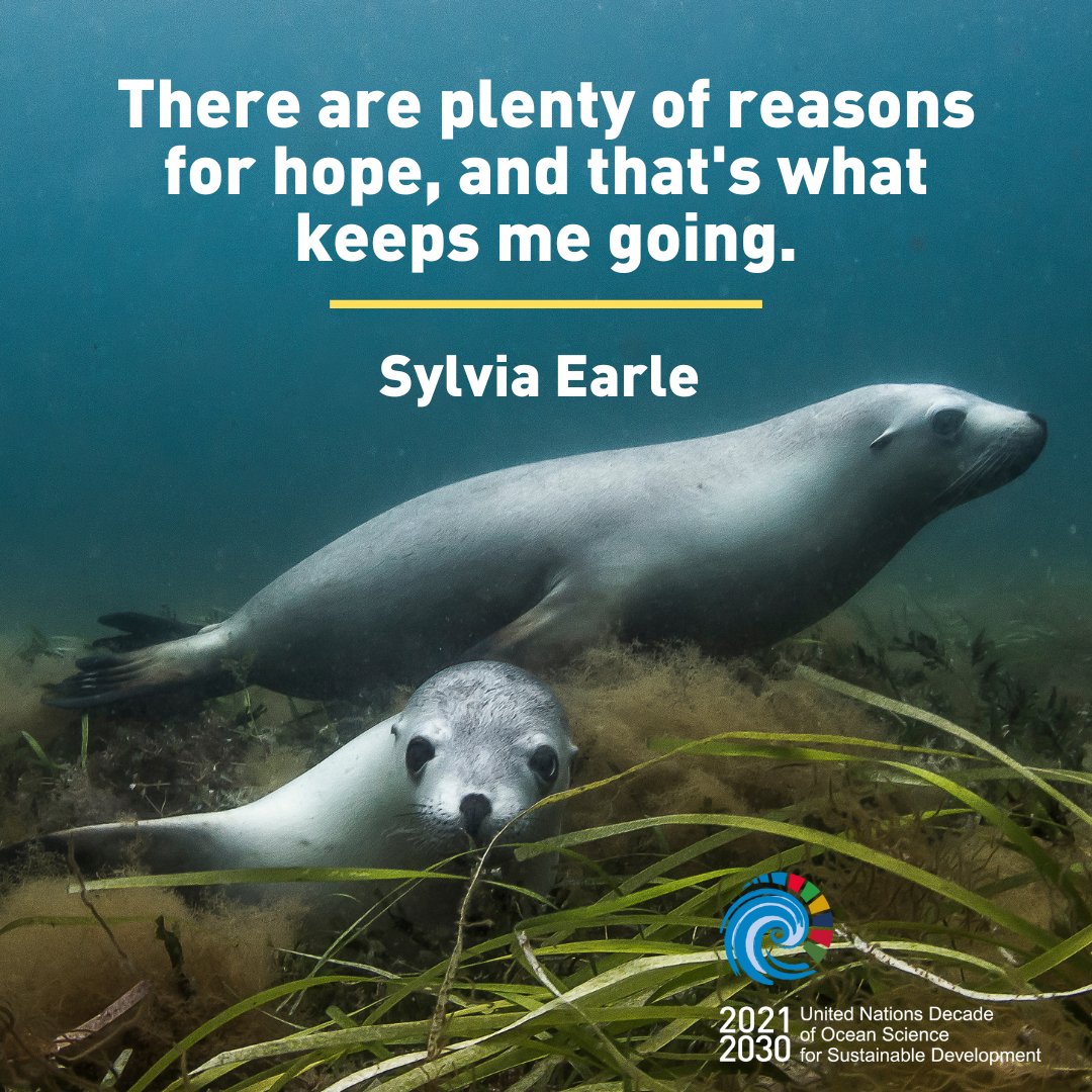 UN Ocean Decade tweet media