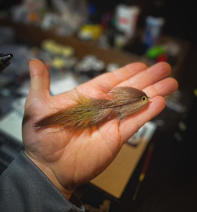 Saltwateronfly's tweet photo. That's pretty nice looking
@317.flies
Smallie Shad in Sucker Brown
*
*
#streamer #streamerjunkie #articulatedstreamer #mroflies #flytying #flytyer #flytyingphotography https://t.co/tR1pfz9q0Q