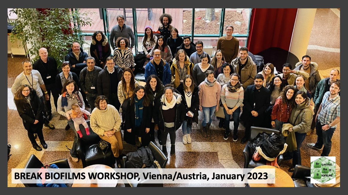 Almost concluding our amazing #BreakBiofilmWorkshop! Thank you all the participants for these wonderful days in Vienna! #biofilms #breakbiofilms #Breakers #SpreadtheScience #H2020 #MSCA