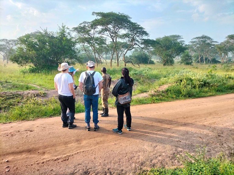 GorillaToursLtd's tweet photo. Safaris are not just limited to safari jeeps. Some of the wildlife can be missed when on the vehicle game drives and that is why, we include walking into our crafts for Journeys so that you may not miss on the small details that are not accessed while in the vehicle. #GameWalks https://t.co/ma78t0fwap