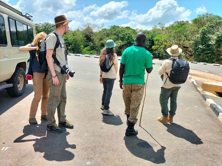 GorillaToursLtd's tweet photo. Safaris are not just limited to safari jeeps. Some of the wildlife can be missed when on the vehicle game drives and that is why, we include walking into our crafts for Journeys so that you may not miss on the small details that are not accessed while in the vehicle. #GameWalks https://t.co/ma78t0fwap