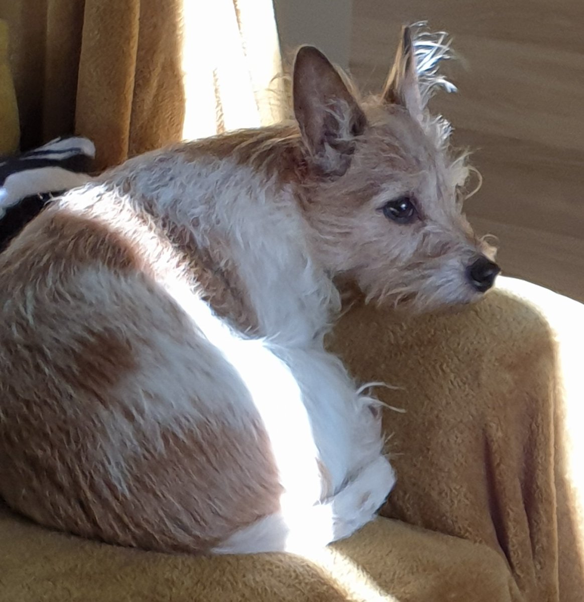Gladys , trying to catch some sun