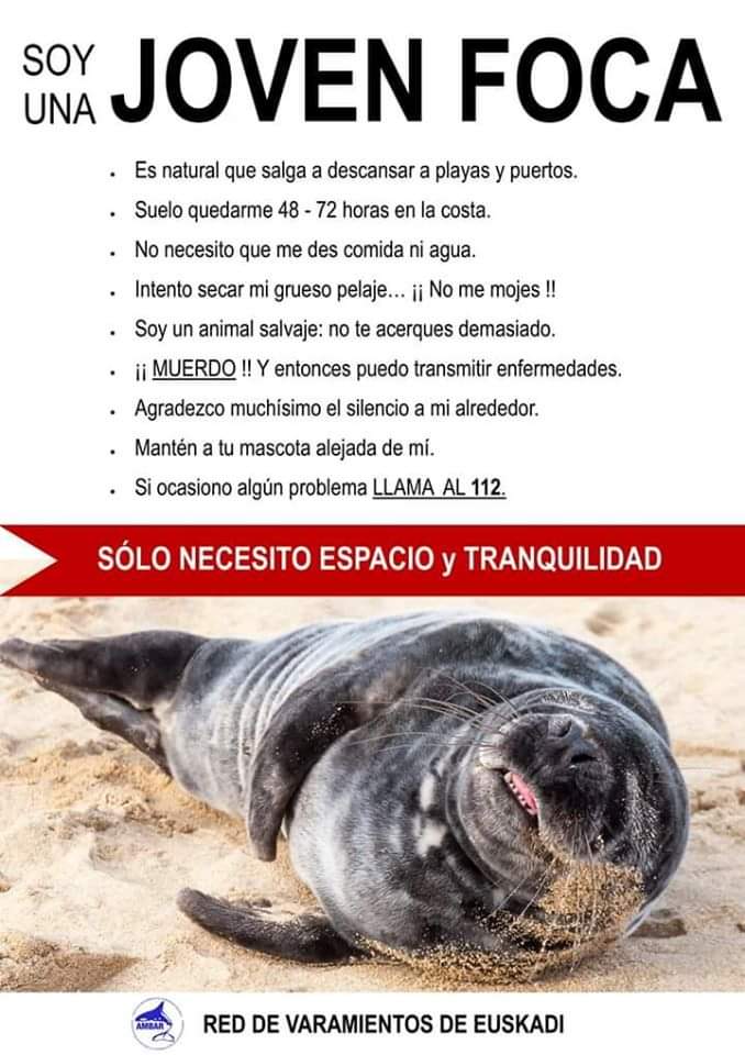 Marine Life Project tweet media