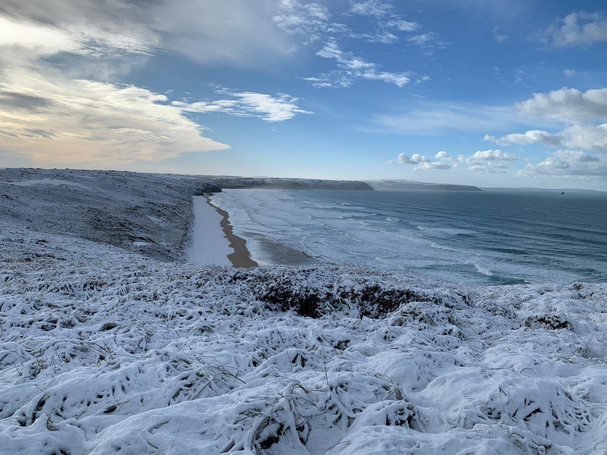 dynamicdunes's tweet photo. 🌨️ The ponies on The Towans, Cornwall don’t seem to mind the snow! They’re still hard at work helping us with some conservation grazing https://t.co/Jl4VST5W0o