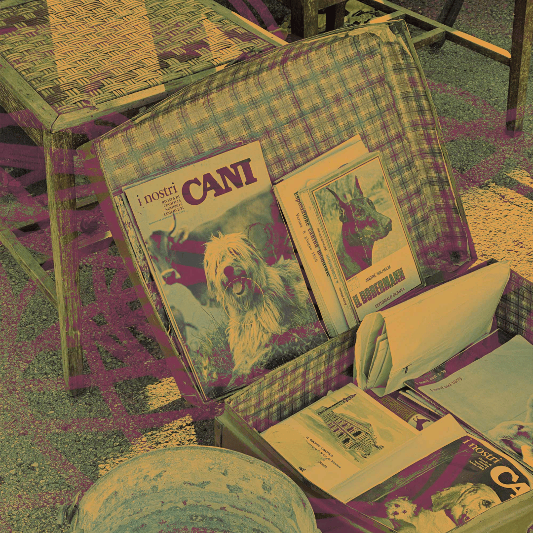 Emmaboshi tweet media