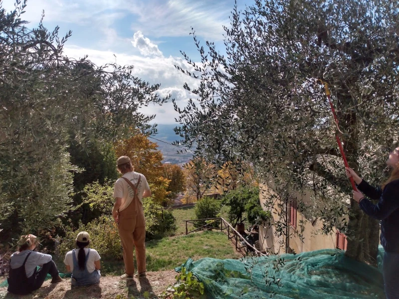 StudyAbroad101's tweet photo. Spend a semester in one of the most picturesque country in Europe - Italy 🇮🇹 Get the chance to taste authentic Italian cuisine 🍕 shop in one of the fashion capitals of the world 👜 marvel at the beautiful architecture 🏛

Visit our website to learn more
https://t.co/axFSNAhvFP https://t.co/h352yF3UWe