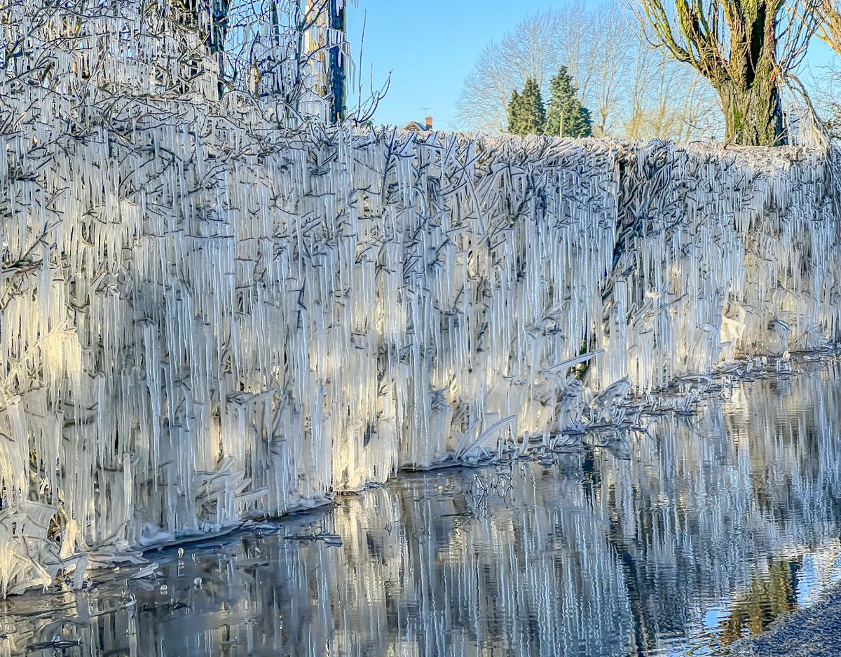 StormchaserUKEU's tweet photo. A man made ice wall here in Maidstone #Kent as water is splashed onto hedges along the road by passing traffic, Pretty impressive all the same! #Ice #Winter #Ukweather https://t.co/OjaGENixbd