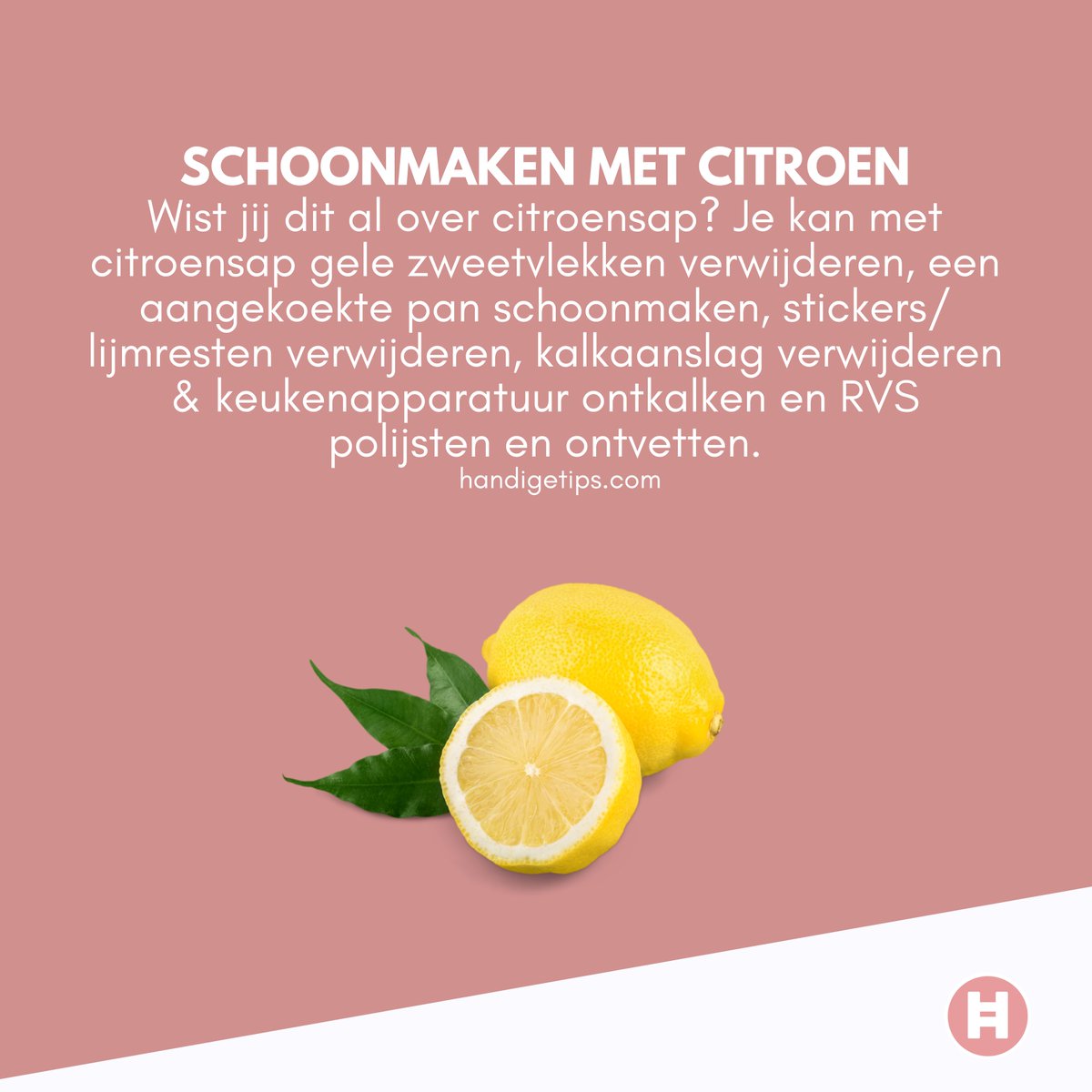 handigetips___'s tweet photo. Haal snel citroenen in huis! Sla deze tip op voor later!
Kijk voor meer handige tips op https://t.co/kVuqt937eE.

#handigetips #handig #tips #tip #lifehacks #hacks #lifehack #weetjes #facts #citroen #vaatwasser #geur #frissegeur #ontkalken #kalk #zweet #citroensap #pannen #rvs https://t.co/Lo1Wy6zbMc