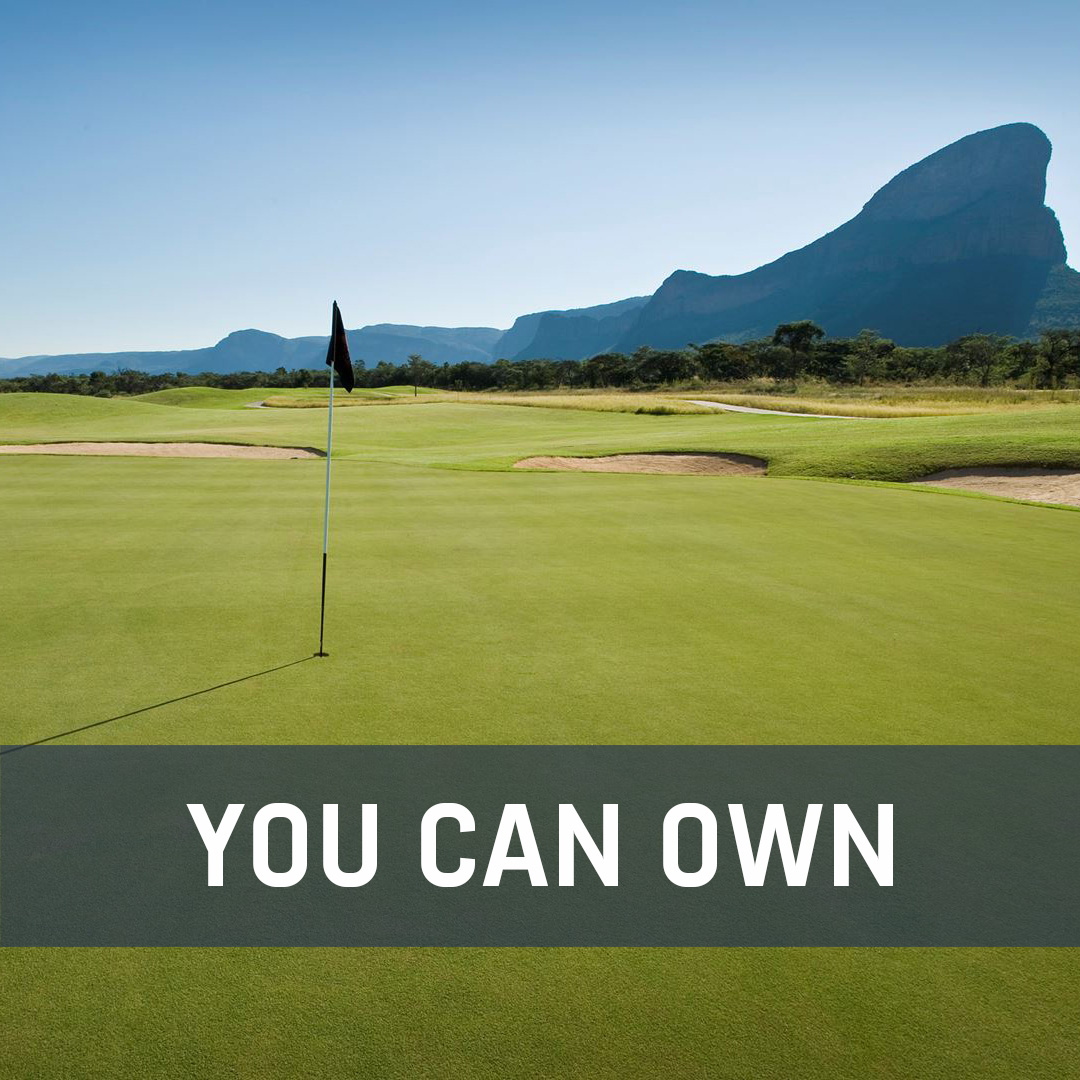 LegendsDAO tweet media