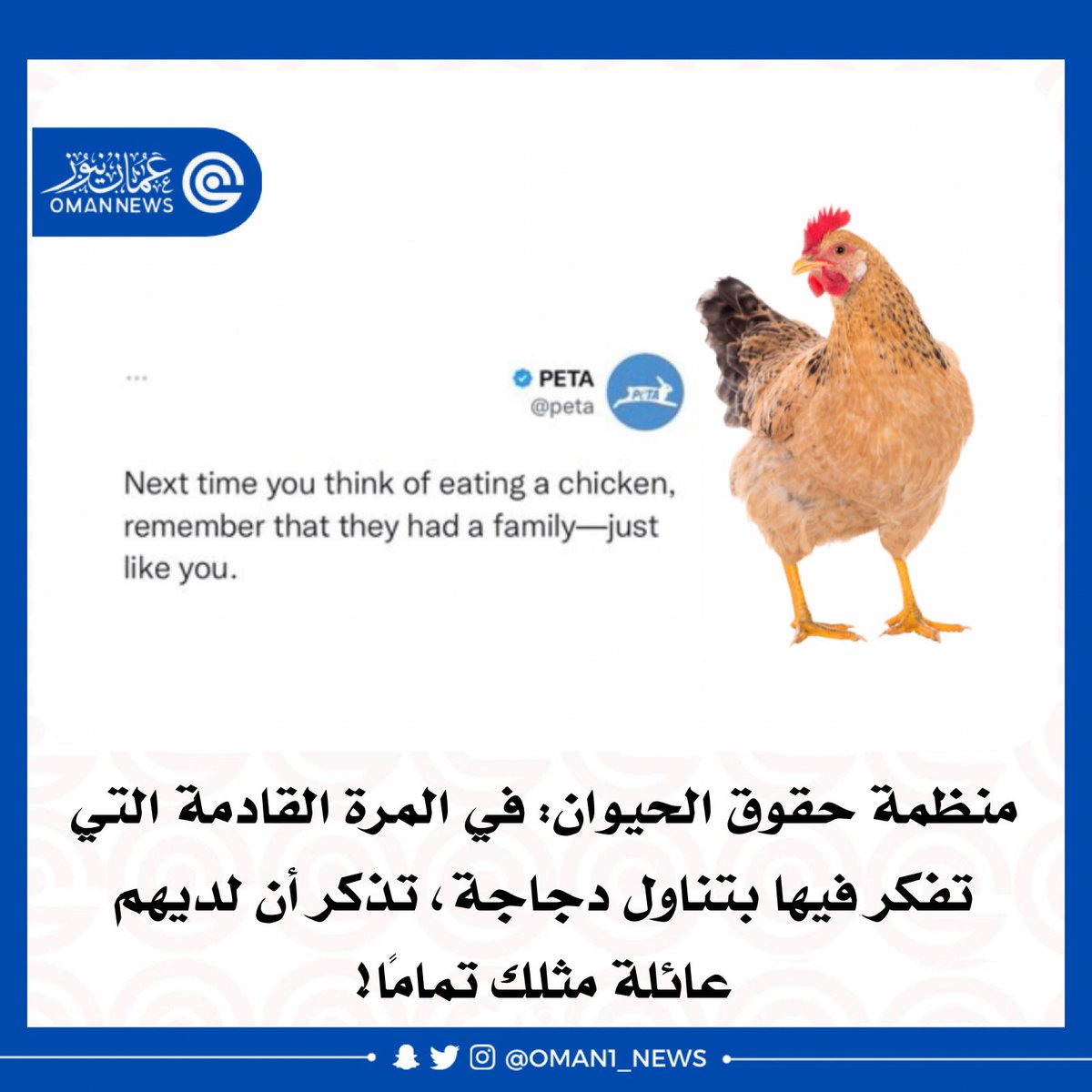 منظمة حقوق الحيوان : في المرة القادمة التي
تفكر فيها بتناول دجاجة تذكر أن لديهم عائلة مثلك تماما !🐓