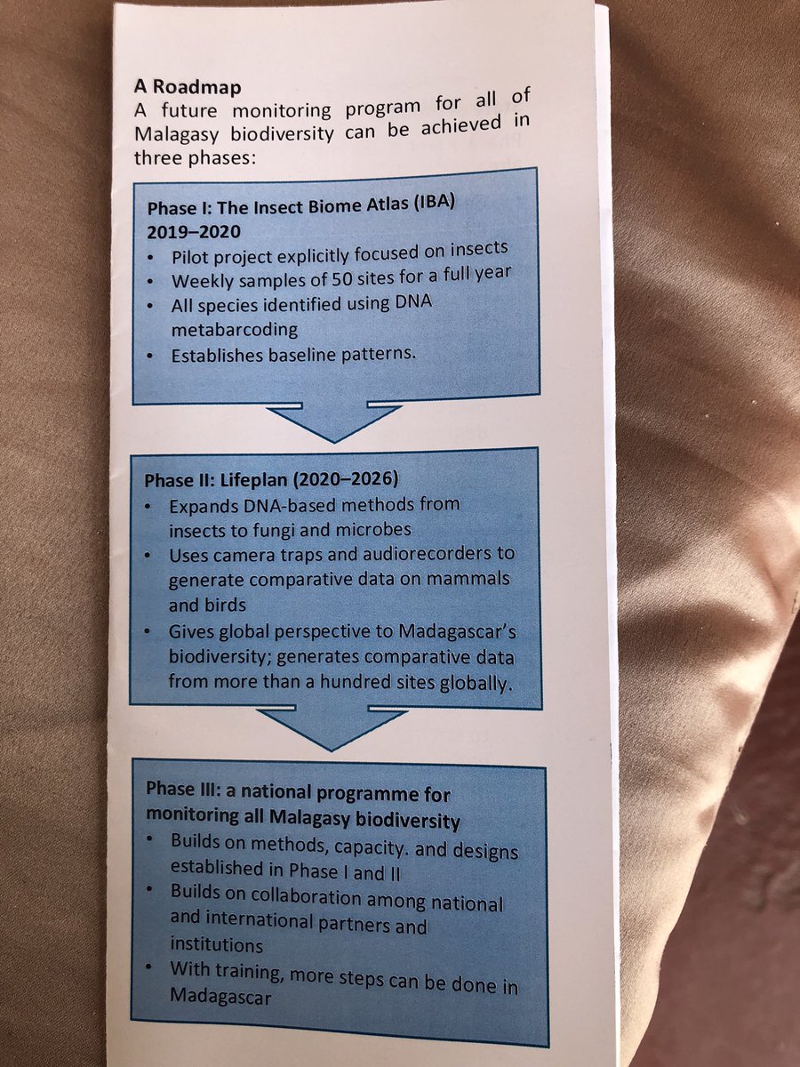 Dr. Andreia Miraldo (@miraldoandreia) on Twitter photo Starting the <a href="/insectbiomatlas/">Insect Biome Atlas</a> and <a href="/LifeplanProject/">Lifeplan</a> stakeholder meeting: “Developing a future monitoring program for Malagasy insects” <a href="/naturhistoriska/">Naturhist.riksmuseet</a> <a href="/deepsthlmuni/">DEEP at Stockholm University</a> <a href="/mbc_madagascar/">Madagascar Biodiversity Center</a> <a href="/KAWstiftelsen/">KAW</a> <a href="/WCS_Mada/">WCS Madagascar</a> <a href="/ParksMadagascar/">Parks-Madagascar</a> <a href="/_SLU/">SLU</a> <a href="/StationLinne/">Station Linné</a> <a href="/KTHuniversity/">KTH Royal Institute of Technology</a> <a href="/ant_explorer/">Brian Fisher</a> Starting the <a href="/insectbiomatlas/">Insect Biome Atlas</a> and <a href="/LifeplanProject/">Lifeplan</a> stakeholder meeting: “Developing a future monitoring program for Malagasy insects” <a href="/naturhistoriska/">Naturhist.riksmuseet</a> <a href="/deepsthlmuni/">DEEP at Stockholm University</a> <a href="/mbc_madagascar/">Madagascar Biodiversity Center</a> <a href="/KAWstiftelsen/">KAW</a> <a href="/WCS_Mada/">WCS Madagascar</a> <a href="/ParksMadagascar/">Parks-Madagascar</a> <a href="/_SLU/">SLU</a> <a href="/StationLinne/">Station Linné</a> <a href="/KTHuniversity/">KTH Royal Institute of Technology</a> <a href="/ant_explorer/">Brian Fisher</a>