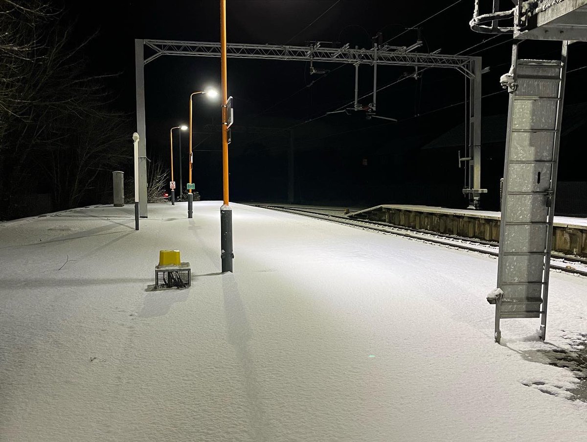 Yolanda Granja-Rubio tweet media