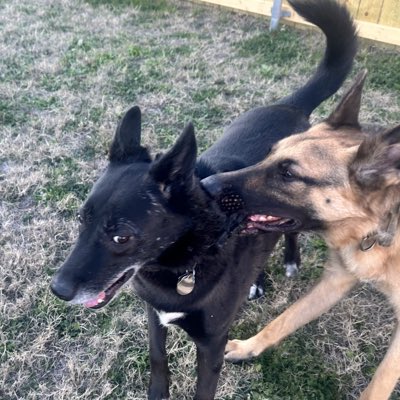 RosyandZeus tweet media