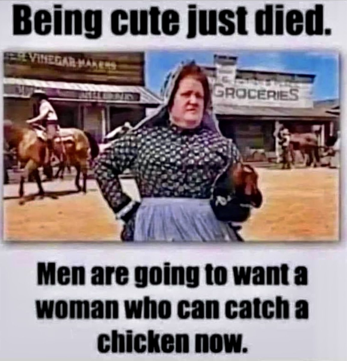 Wow! I didn’t know this. I have 21 hens, I must be a catch now! 😂😂🤣🤣 #21 #chicken #chickenlady #chickenladylife #chickenladyintraining #egg #eggs