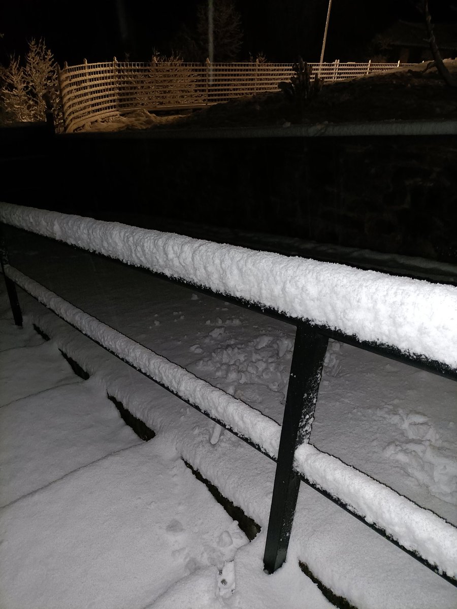 Izarag92's tweet photo. Egun on ❄️🌨️
Aristregui (Juslapeña) https://t.co/jPaf1B7PcG