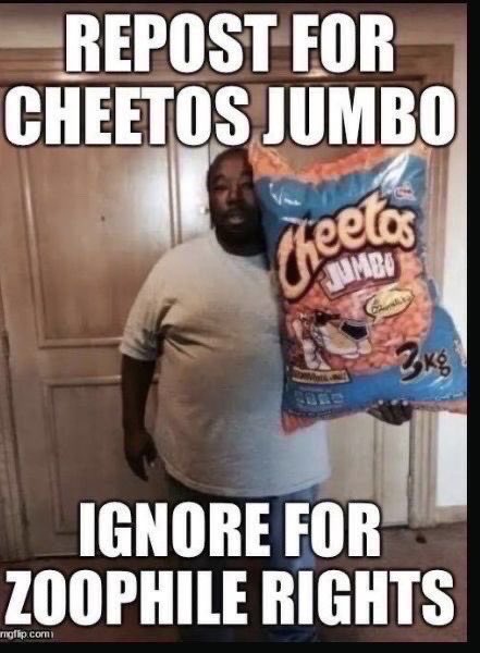 belkody1's tweet image. 