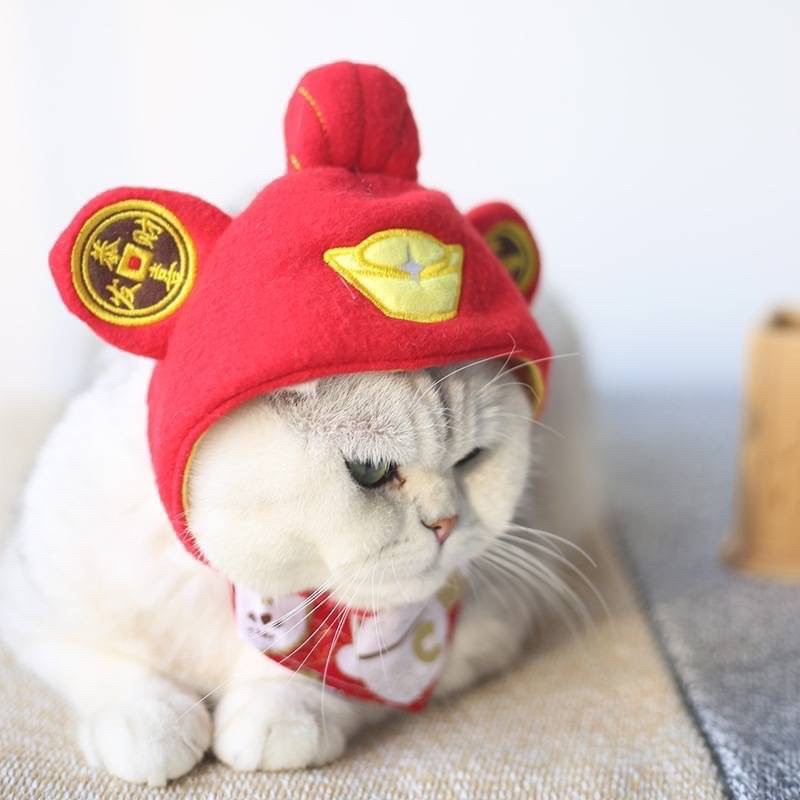 หมวกน้องหมา🐶 น้องแมว🐱 หมวกฮ่องเต้ แห่งโชคลาภ เงิน ทอง 🧧 จัดให้เข้ากับเทศกาล ตรุษจีนที่กำลังมาถึง🧨 ใส่ถ่ายรูปเป็นพร็อพ เล่นกับลูกๆ แสนซน น่ารัก💗

รอบคอปรับได้ 30 ซม.
เริ่มต้น 100 ฿ สอบถามได้นะคะ 
#พร้อมส่ง #ตรุษจีน #ตรุษจีน2566