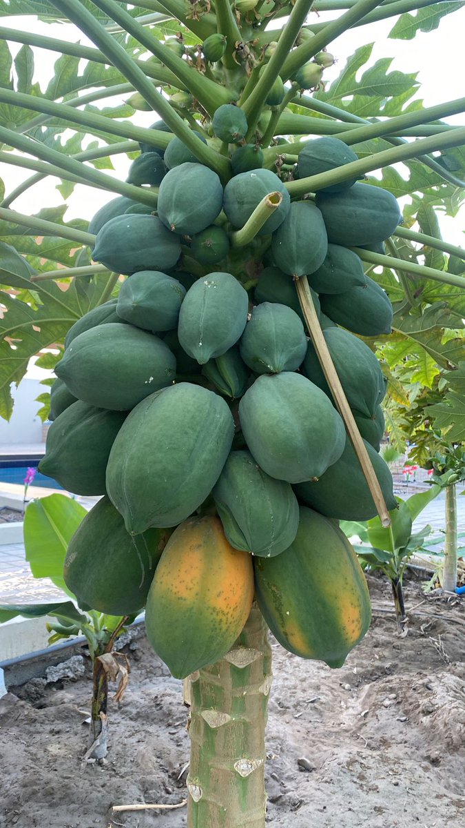 لـ تعيش الحيآة :

خذ من المسنين عقولھّم ، ومن الأطفآل قلوبھّم ، و من العظمآء ھّيبتهم ، ومن الفقراء صبرھّم.

#يسعدلي صباحكو ♥♥♥