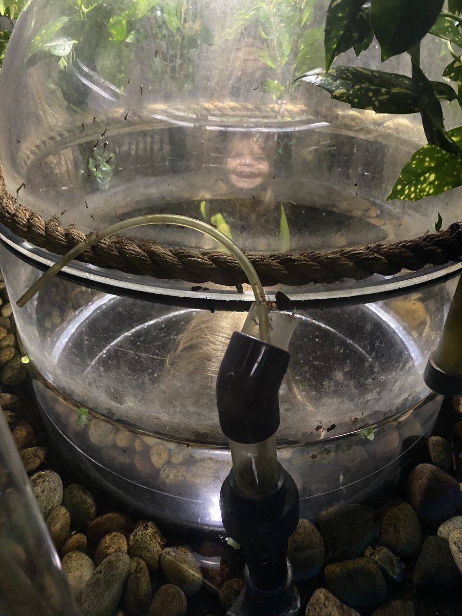 e1_stjoseph's tweet photo. We had such a great trip to @london_aquarium the children were amazing and loved seeing all of the animals that we have been learning about! https://t.co/qegoEPitnP