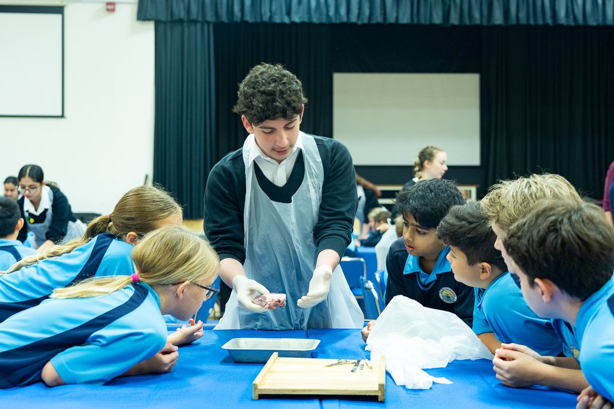 BSAK Science tweet media