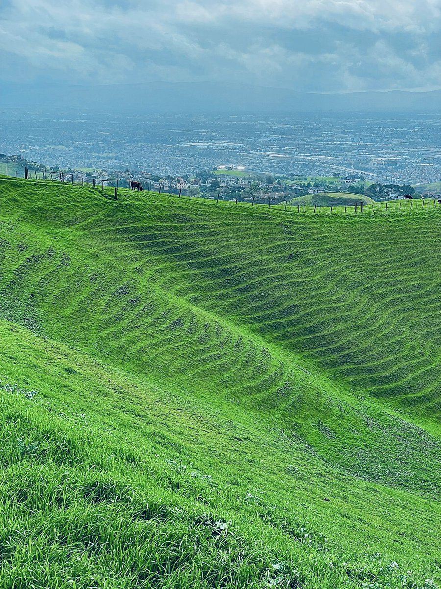 Conquered a challenging hike after some much needed rain with some amazing company. The views were absolutely breathtaking and made every step worth it. A great way to start the new year! Cheers!!! #hiking #nature #newyear
