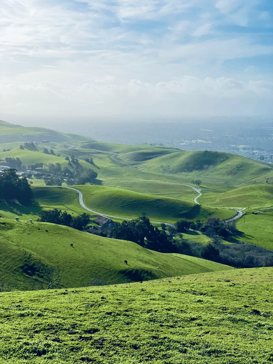 Dindoop's tweet photo. Conquered a challenging hike after some much needed rain with some amazing company. The views were absolutely breathtaking and made every step worth it. A great way to start the new year! Cheers!!! #hiking #nature #newyear https://t.co/MkS0xzqZo7