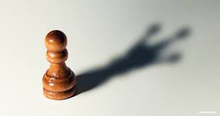 Lisa Roberts Zevi tweet media