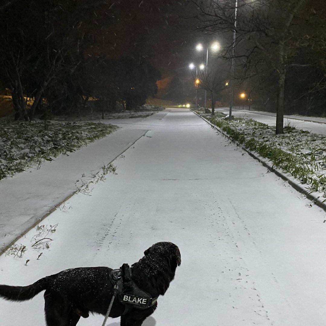coches's tweet photo. Nosotros nos hemos levantado así 🥶 ¿Vosotros qué tal? 🤣🤣🤣 #FelizMiércoles

Aquí os dejamos algunos consejos para conducir con nieve o hielo 👉 https://t.co/8gtbsuEdBg https://t.co/948LeRHYug