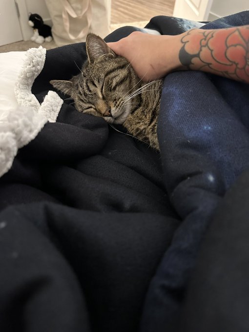 she&rsquo;s all tucked in 🥹🥹🥹🥹 https://t.co/eZJkPnR824