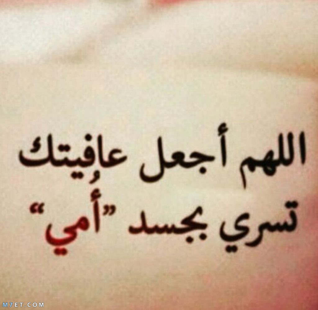 أميّرة .. S 🦋 tweet media