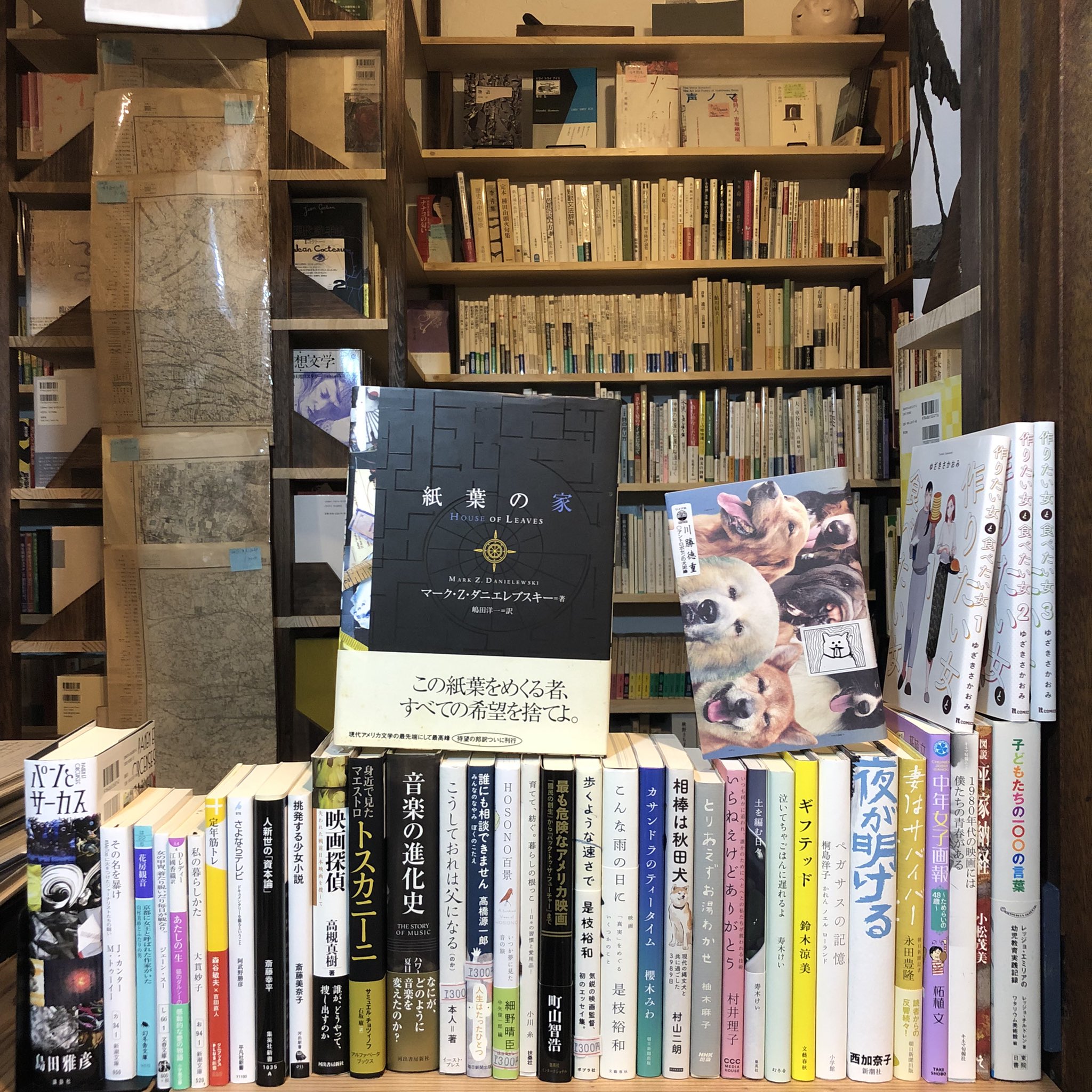 紙葉の家 (初版 帯・解説付き) - 文学・小説 紙葉の家 (初版 帯・解説付き) - 文学・小説